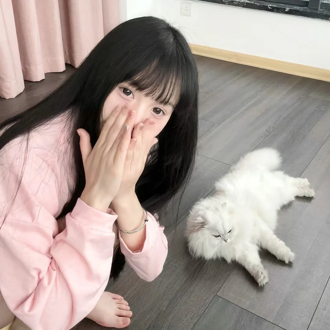 小猫熊历险记